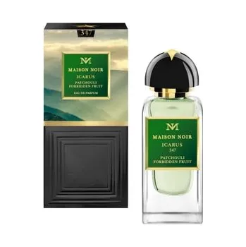 Nestandardní parfém Maison Noir Icarus Parfémovaná voda