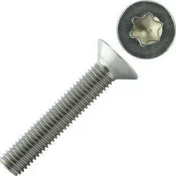 Šroub Šroub Imbus ISO 14581 8.8 M6x30 ZB Torx