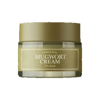 Pleťový krém I'm from Mugwort Cream Krém na pleť