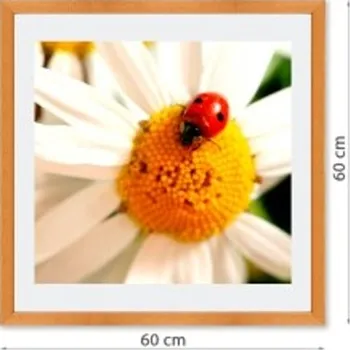 Rám na obraz Fotoobraz v rámu s paspartou 60x60 cm FOPKDL6-60x60 Nižší cena pro více kusů!