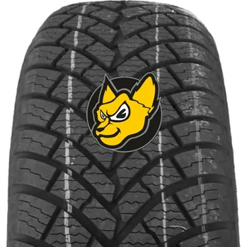 Osobní pneu Double Coin Dasp Plus 205/55 R19 97V XL M+S