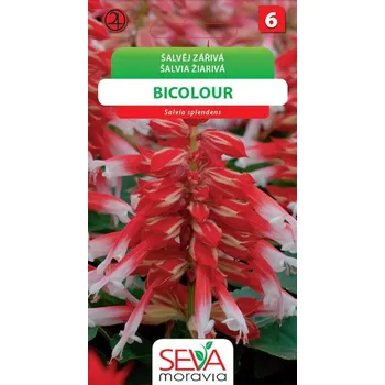 Semeno Osiva Moravia Šalvěj zářívá Bicolour bílá/červená 0,1 g