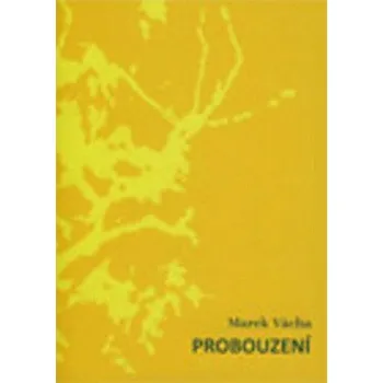 Probouzení - Marek Orko Vácha