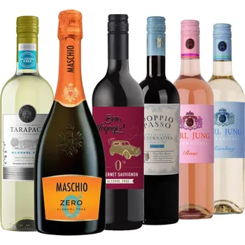 Víno WNHS Sommelier Degustační balíček nealkoholických vín II, 6x0,75l