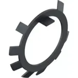 Podložka s jazýčkem DIN 70952 A 30 BP