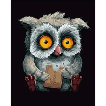 Dětské zboží Gaira® Malování podle čísel Sova M991143
