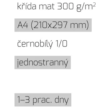 Leták A4 1/0 křída mat 300 g/m2 LT-A4-1/0-300-K Nižší cena pro více kusů!