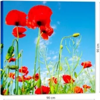 Rám na obraz Fotoobraz na plátně, 90x90 cm FOPL-90x90 Nižší cena pro více kusů!