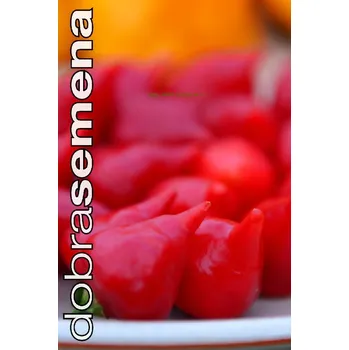 Semeno DOBRÁ SEMENA PAPRIKA PEITO DE MOCA - středně pálivá 10 s