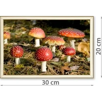 Rám na obraz Fotoobraz v hliníkovém rámu 20x30 cm FOKA-20x30 Nižší cena pro více kusů!