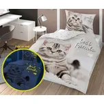 DETEXPOL Povlečení Best Friends Kotě svítící Bavlna, 140/200, 70/80 cm (DL-032572)
