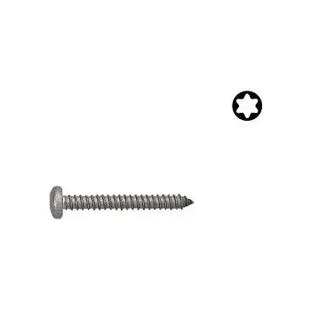 Vrut Šroub DIN 7981C nerez A2 4,8x60 Torx