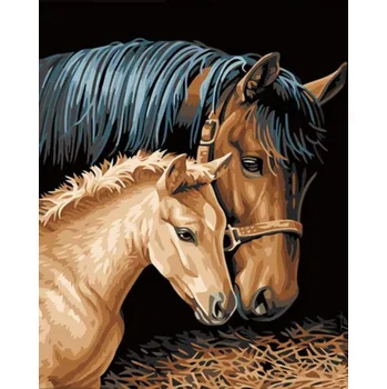 Dětské zboží Gaira® Malování podle čísel Koně M991769