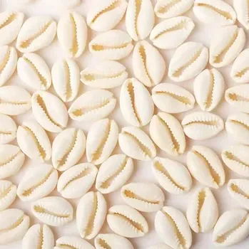 Dekorační mořské ulity 1,5-2,5cm /10ks/