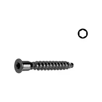 Vrut Konfirmát 7x70 ZČ