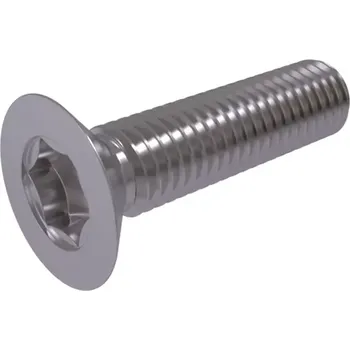 Šroub Šroub Imbus ISO 14581 8.8 M6x16 ZB Torx