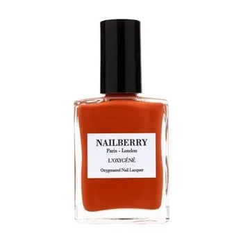 Make-up Nailberry Pumpkin Pie Lak na nehty