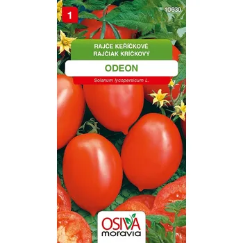 Semeno Rajče keříčkové Odeon (oválné) 12/2028