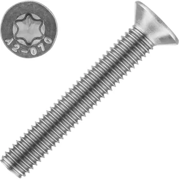 Šroub Šroub Imbus ISO 14581 nerez A2 M5x10 Torx