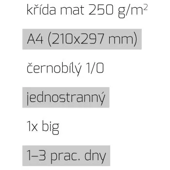 Leták 1xbig A4 1/0 křída mat 250 g/m2 LT-A4-1/0-250-K-1xBig Nižší cena pro více kusů!