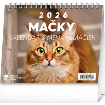 Kalendář Stolový kalendár Mačky – s menami mačiek slovenský pouze do vyprodání 2026 PGS-35362-SK Nižší cena pro více kusů!