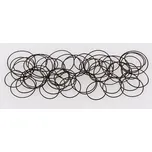 Sada kroužkových těsnění do hodinek Toolcraft, 100 ks