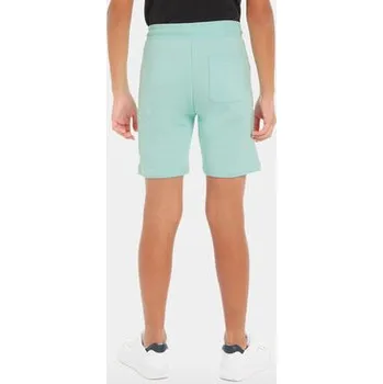 Pánské kraťasy Calvin Klein Jeans Sportovní kraťasy Minimalistic IB0IB02061 Modrá Regular Fit 12Y