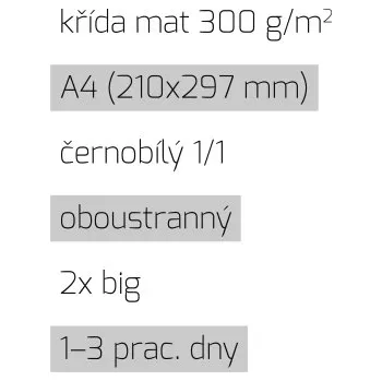 Leták 2xbig A4 1/1 křída mat 300 g/m2 LT-A4-1/1-300-K-2xBig Nižší cena pro více kusů!