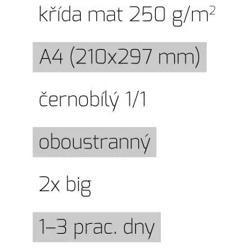 Leták 2xbig A4 1/1 křída mat 250 g/m2 LT-A4-1/1-250-K-2xBig Nižší cena pro více kusů!