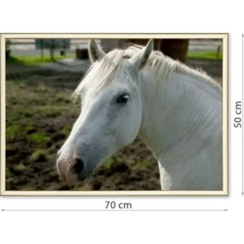 Rám na obraz Fotoobraz v hliníkovém rámu 50x70 cm FOKA-50x70 Nižší cena pro více kusů!