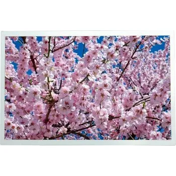 Monitor Displej TFT LCD 12.1 in Dotykový displej 1280 x 800 pixel podsvícení LED rozhraní HDMI RS PRO