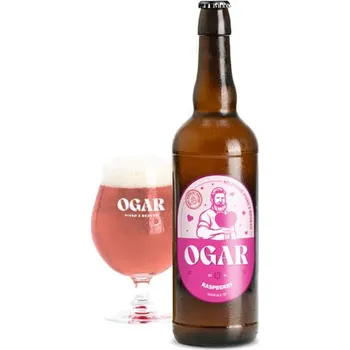 Pivo Pivovar Ogar Pivo Ogar Valentýnský Raspberry Sour Ale 12° 0.75l