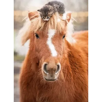 Puzzle Ravensburger puzzle poník a koťátko 500 dílků