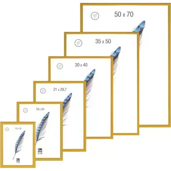 Obraz Rám na obraz Virius 2 18X24 cm žlutý