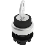 Pizzato Elettrica E21SC2DVA19AA E21SC2DVA19AA klíčový spínač černá 1 x 90 ° 1 ks