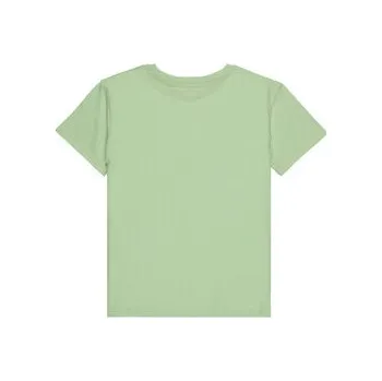 Pánské oblečení Roxy T-Shirt Orchid Art ERGZT04142 Zelená Regular Fit 10_m