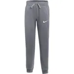 Nike Park 26 Fleece šedé dětské kalhoty IB1252 071 M