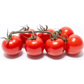 Čerstvě utrženo – Rajčata koktejlová cherry (zn. Oliver), střapec