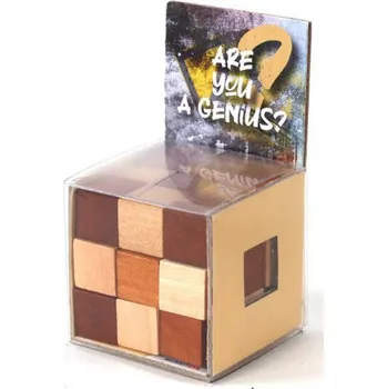 Hlavolam Smartlife Hlavolam - Are You... Genius