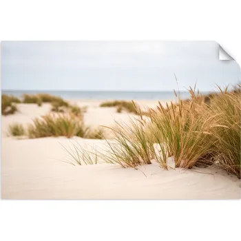 Obraz Samolepky, Pláž moře rostliny duny příroda 30x20