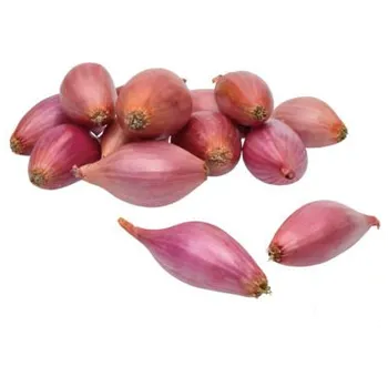 Semeno Maják Sazečka - růžová Rosanna 250 g