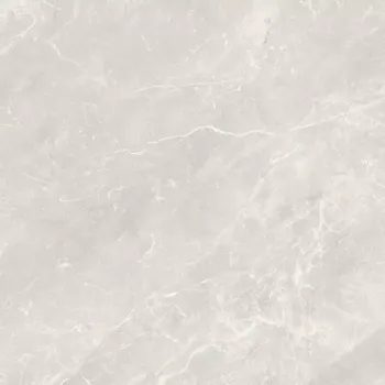 Dlažba Dlažba Balmoral Silver 60/60