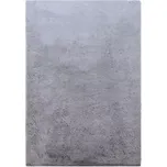 Koberec Shaggy Timmy D 1,6/2,3 T-Dc1