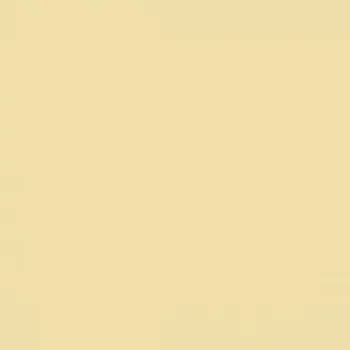 Omítka Silikatová omítka Baumit Silikattop 2,0 mm 25kg – odstín 0086