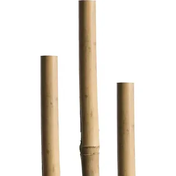 Stojan na květiny Tyč Tonkin 150 cm, 12/14 mm