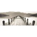 Obraz na plátně Harmony 60x150 ST134