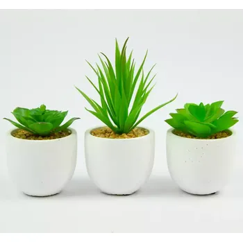 Koupelnový nábytek Sukulent 10-18cm mix 95787