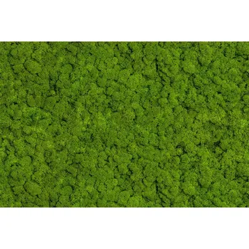 Obklad Dekor Skleněný Chrobotek 30/60