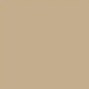 Omítka Silikonová omítka Baumit Silikontop 2,0 mm 25 kg – odstín 0185