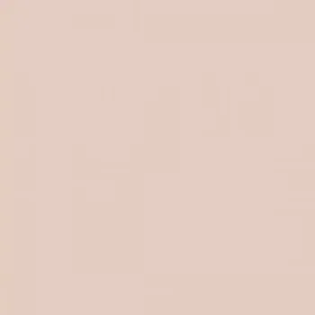 Omítka Silikatová omítka Baumit Silikattop 1,5 mm 25kg – odstín 0408